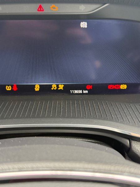 2021 Skoda Octavia - photo 9