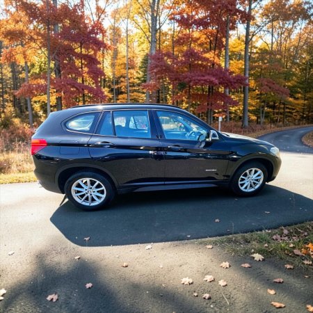 2018 BMW X1 - photo 10