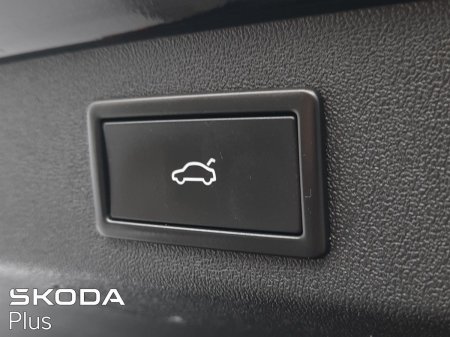 2025 Skoda Kodiaq - photo 32
