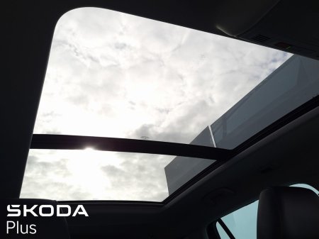 2024 Skoda Kodiaq - photo 18