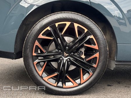 2025 Cupra Terramar - photo 6