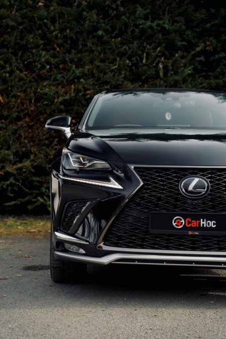 2019 Lexus NX - photo 26