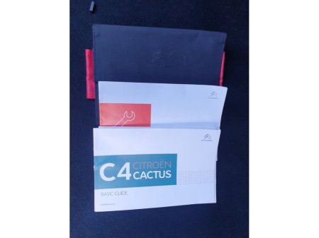 2020 Citroen C4 Cactus - photo 41