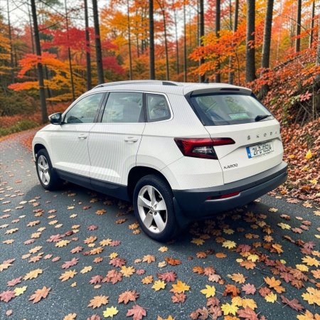 2021 Skoda Karoq - photo 13
