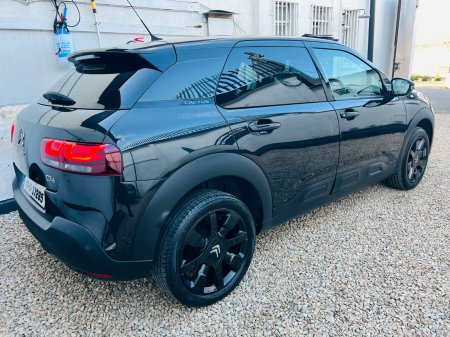 2018 Citroen C4 Cactus - photo 10