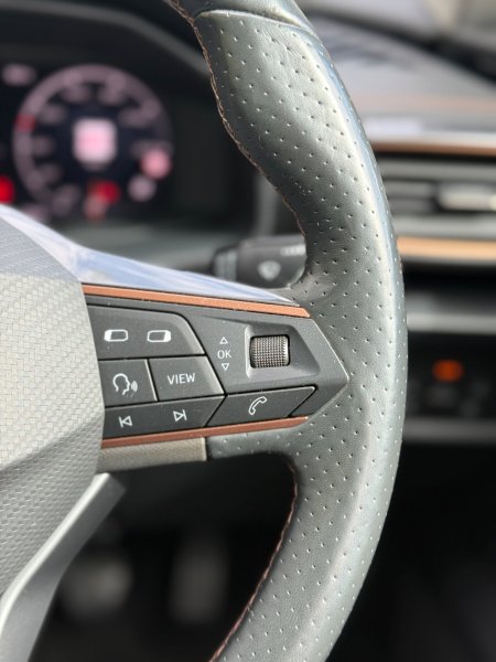 2022 Cupra Formentor - photo 19