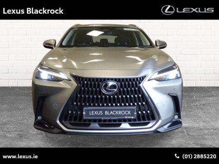 2024 Lexus NX 450h+ - photo 5