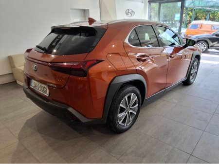 2024 Lexus UX - photo 2