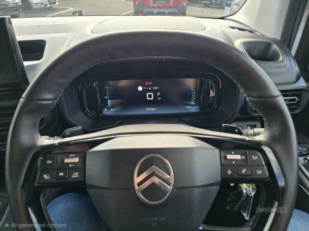 2025 Citroen Berlingo Multispace - photo 13