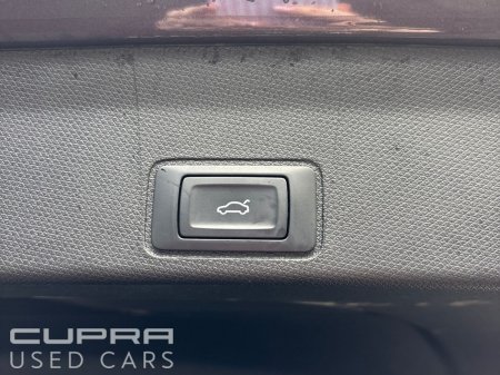 2025 Cupra Terramar - photo 17