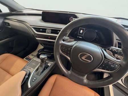 2021 Lexus UX - photo 5