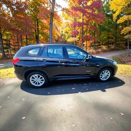 2018 BMW X1 - photo 18
