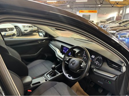 2023 Skoda Octavia - photo 6