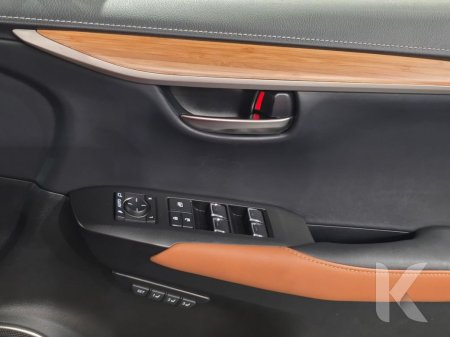 2019 Lexus NX - photo 23