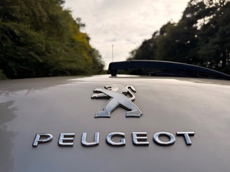 2016 Peugeot 3008 - photo 26