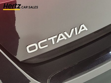 2025 Skoda Octavia - photo 11