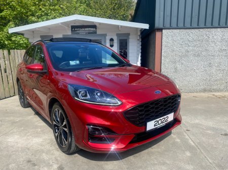 2022 Ford Kuga - photo 21