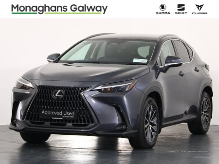 2023 Lexus NX - photo 7