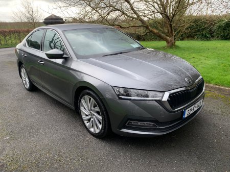 2022 Skoda Octavia - photo 9