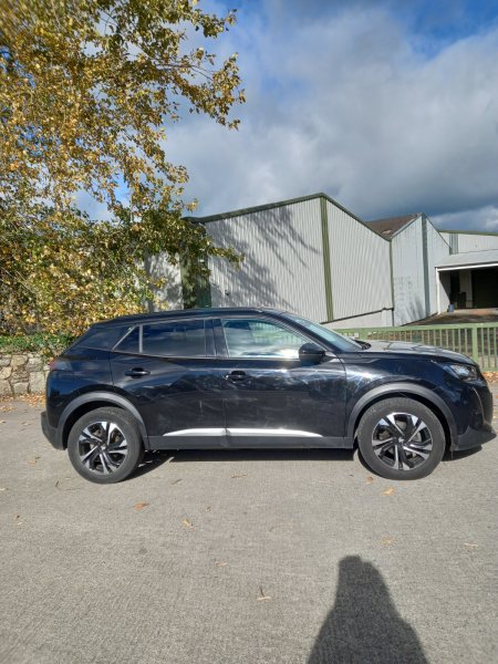 2020 Peugeot 2008 - photo 10
