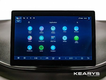 2026 BYD DOLPHIN SURF - photo 18