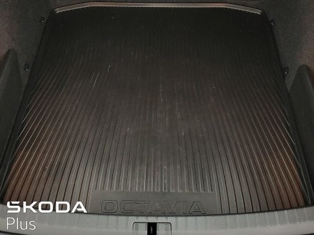 2024 Skoda Octavia - photo 10