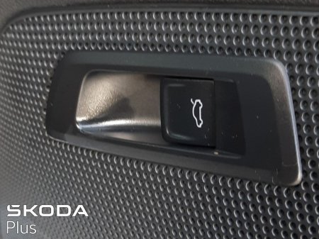 2024 Skoda Kodiaq - photo 3