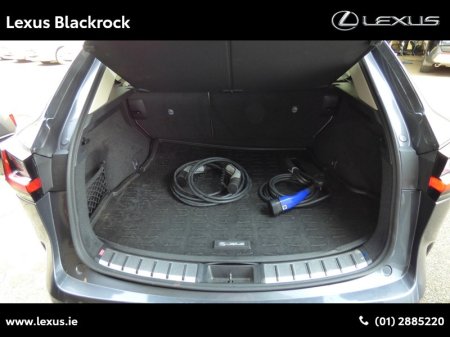 2025 Lexus NX 450h+ - photo 15
