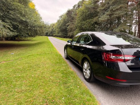 2019 Skoda Superb - photo 46
