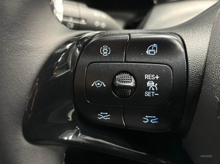 2025 BYD DOLPHIN - photo 24