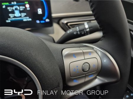 2027 BYD DOLPHIN SURF - photo 15