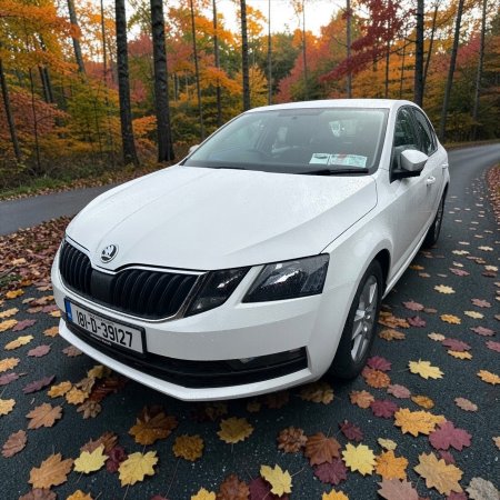 2018 Skoda Octavia - photo 9