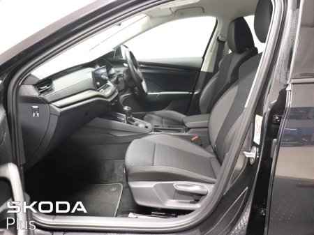 2023 Skoda Octavia - photo 4