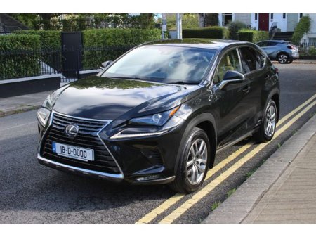 2018 Lexus NX - photo 37