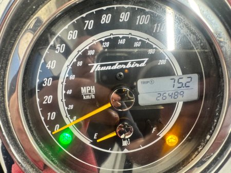 2014 Triumph Other - photo 10