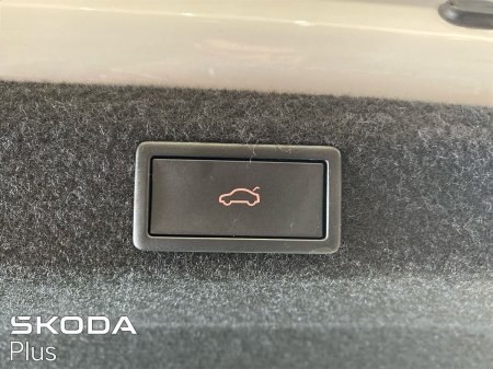 2024 Skoda Octavia - photo 25