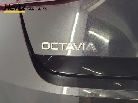 2025 Skoda Octavia - photo 11