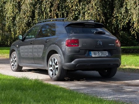 2018 Citroen C4 Cactus - photo 4