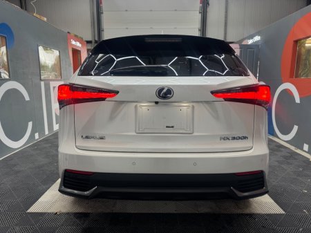 2019 Lexus NX - photo 4
