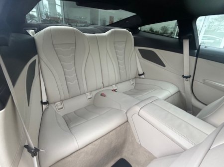 2019 BMW 8-Series - photo 14