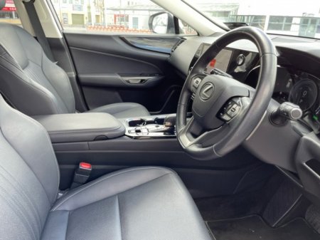 2024 Lexus NX - photo 6