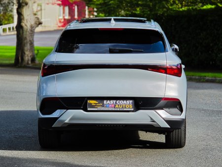 2024 BYD ATTO 3 - photo 13