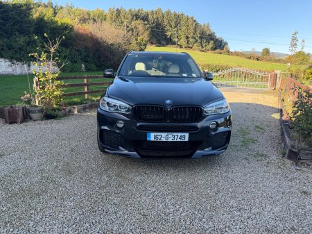 2016 BMW X5 - photo 4