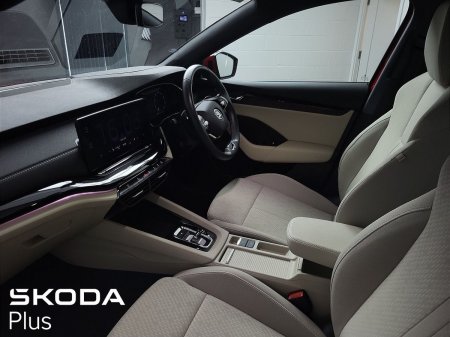 2023 Skoda Octavia - photo 4