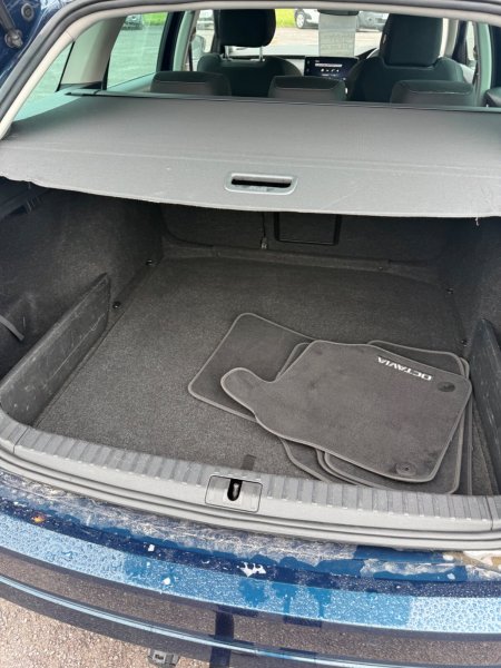 2021 Skoda Octavia - photo 6