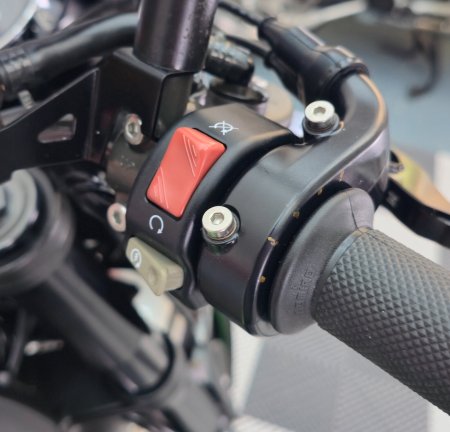 2020 Kawasaki Z 900 RS - photo 12