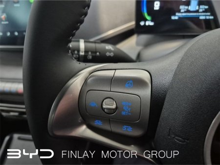 2027 BYD DOLPHIN SURF - photo 14