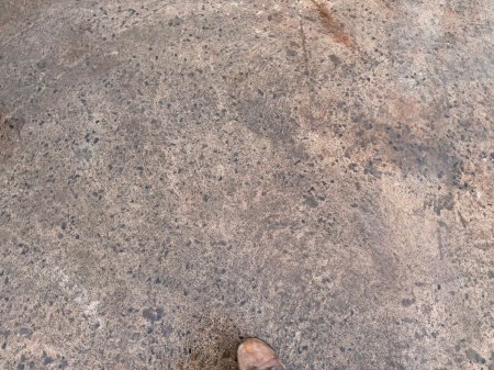 0 Other Other - photo 24