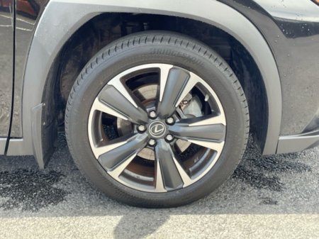 2024 Lexus UX - photo 12