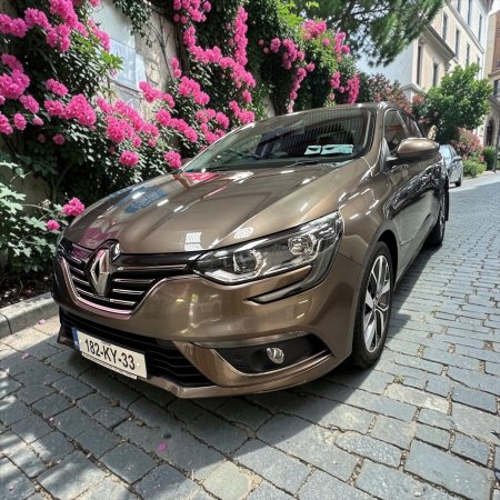 2018 Renault Megane - photo 17